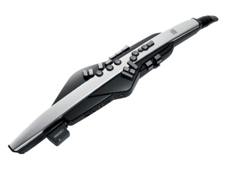 Roland AE-30 Aerophone Digital Wind Instrument Online now