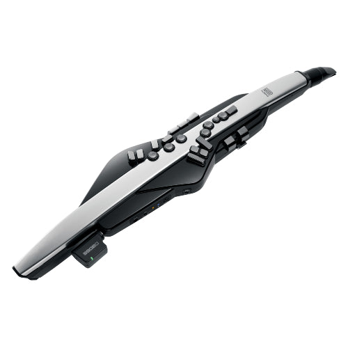 Roland AE-30 Aerophone Digital Wind Instrument Online now