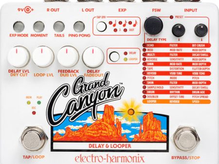 Electro-Harmonix GRAND CANYON Delay & Looper Pedal Online Sale