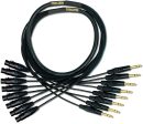 Mogami Gold 8 TRS-XLRF-10 Audio Adapter Snake Cable, 8 Channel Fan-Out, XLR-Female to 1 4  TRS Male Plug, Gold Contacts, Straight Connectors, 10 Feet Online Hot Sale